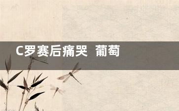 C罗赛后痛哭  葡萄牙0-1摩洛哥爆冷出局!